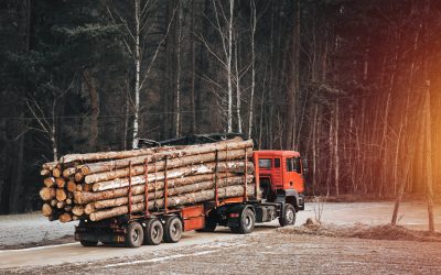 tree trunk logs loaded on a truck